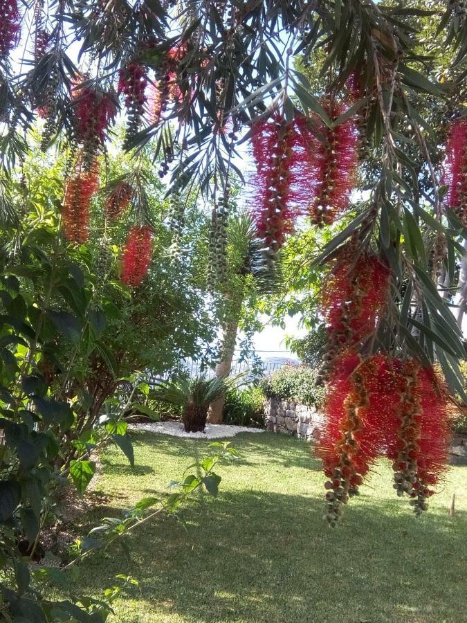 La Chambre De Ker Briac Funchal  Esterno foto