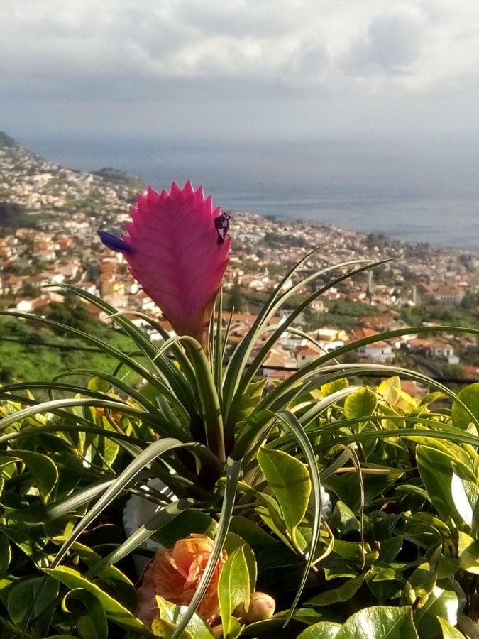 La Chambre De Ker Briac Funchal  Esterno foto